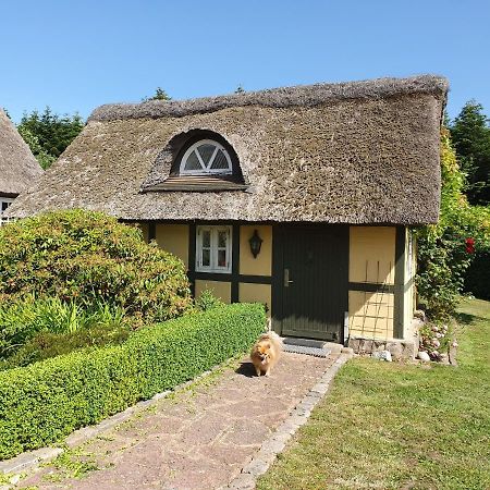 Zara'S B&B 호르센스 외부 사진