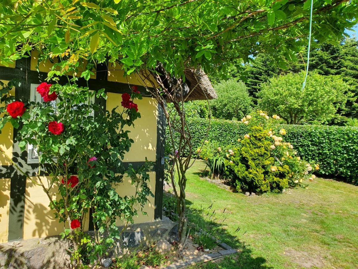 Zara'S B&B 호르센스 외부 사진